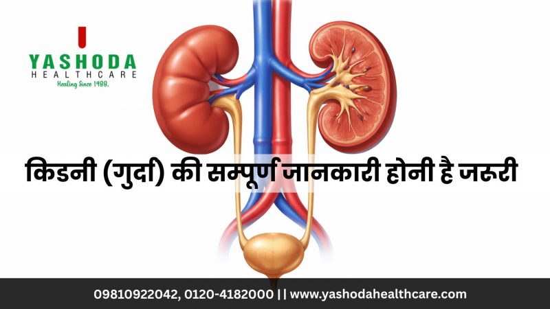 किडनी (गुर्दा) की सम्पूर्ण जानकारी होनी है जरूरी