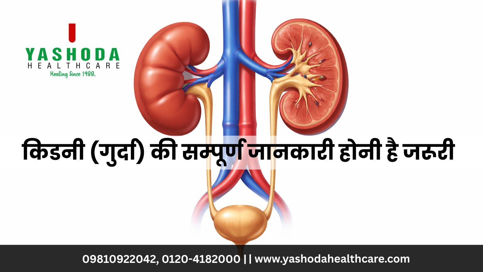 किडनी (गुर्दा) की सम्पूर्ण जानकारी होनी है जरूरी