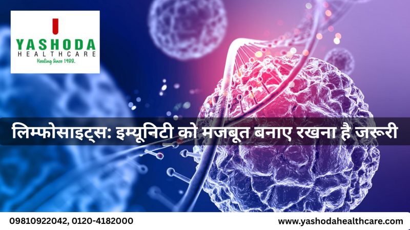लिम्फोसाइट्स: इम्यूनिटी को मजबूत बनाए रखना है जरूरी