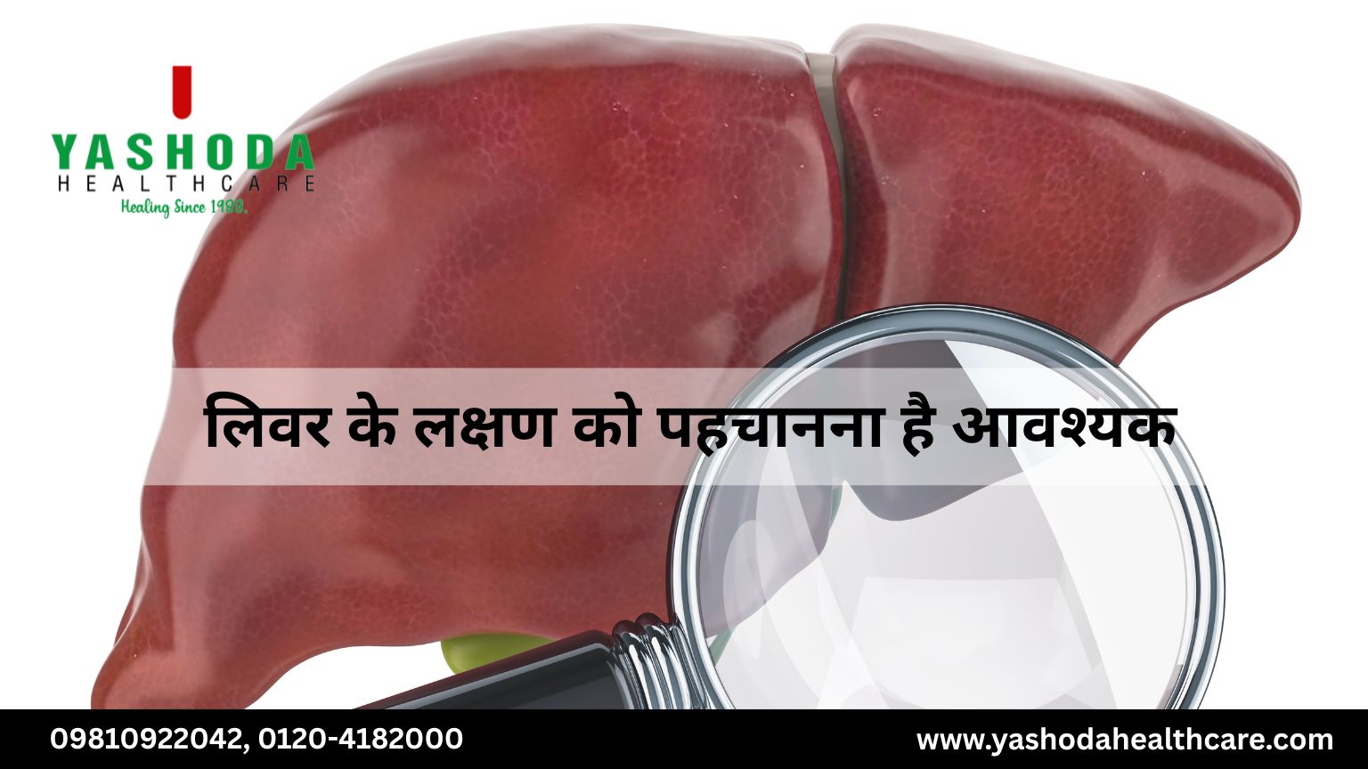 लिवर के लक्षण को पहचानना है आवश्यक