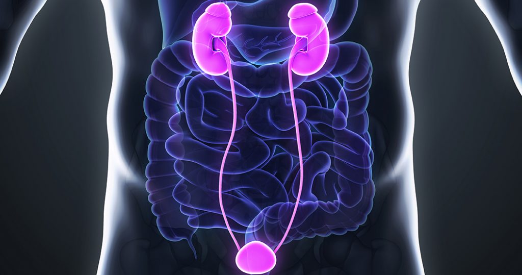 Ureteral Stones Types, Signs, Symptoms & Treatment Yashoda Hospital