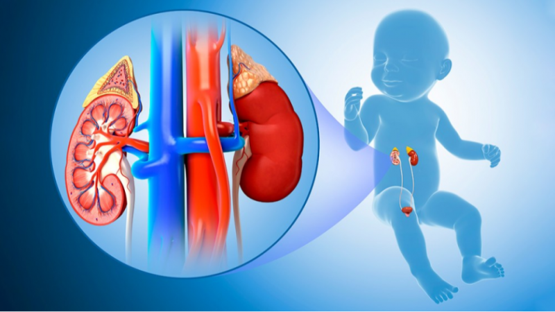 Best pediatric urologists in Ghaziabad