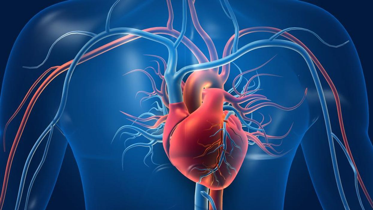 What is a Cardiovascular Disease or a Heart Disease?