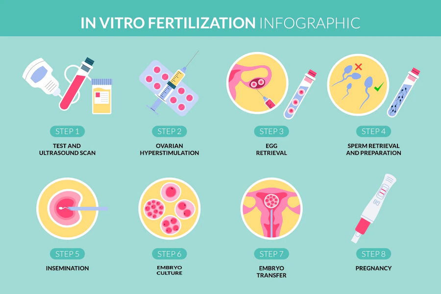 What is In-vitro fertilization or IVF? - Yashoda Hospital
