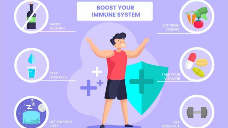 Get to Know Everything About how Immune System Works