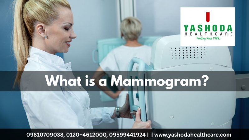 What is a Mammogram?