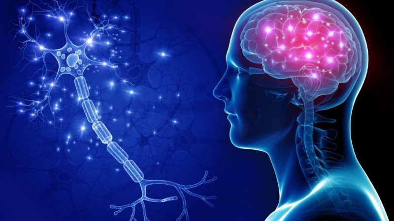 Neurointervention – Treating complex brain pathologies in a minimally invasive manner