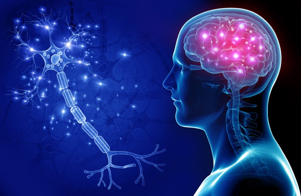 Neurointervention – Treating complex brain pathologies in a minimally invasive manner
