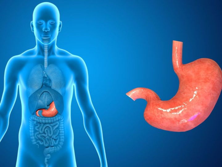 Stomach Flu (Gastroenteritis)