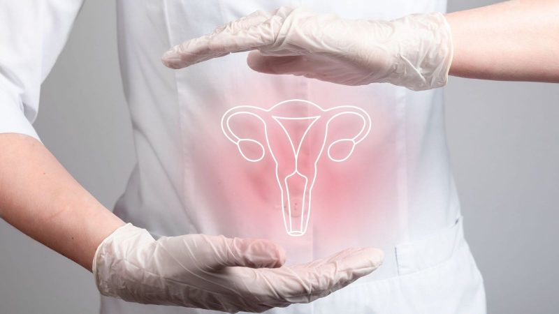 Obstetrician–Gynecologist (OB-GYN)