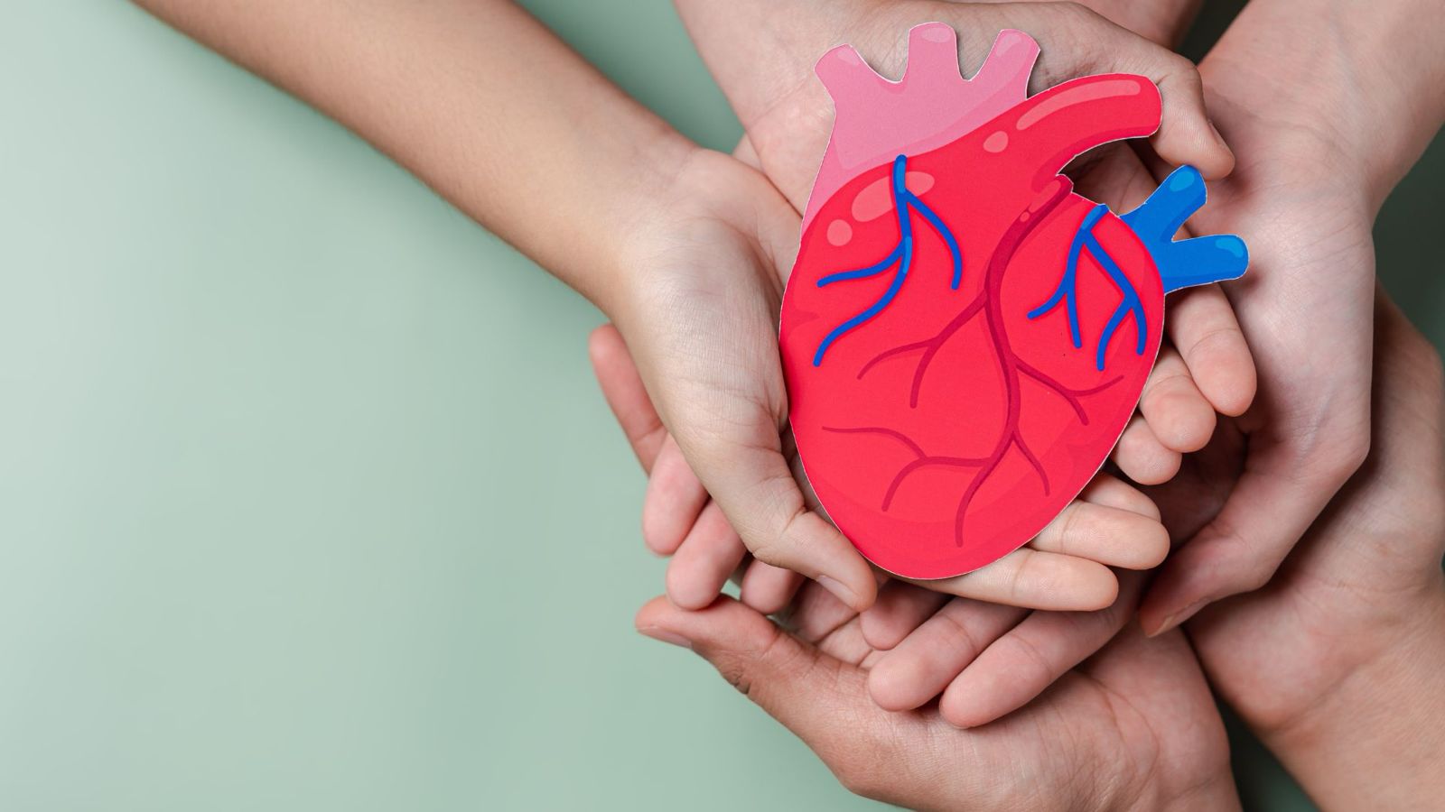 Enlarged Heart(Cardiomegaly): Causes, Symptoms, and Treatment