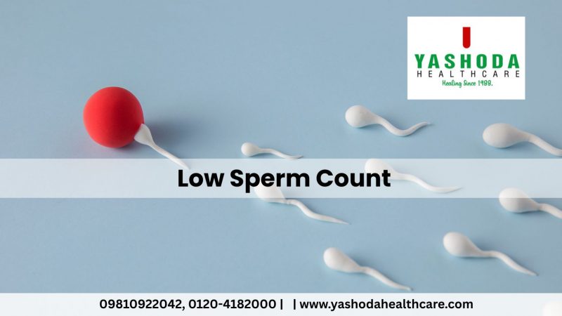 Low Sperm Count