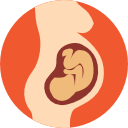 Pregnancy